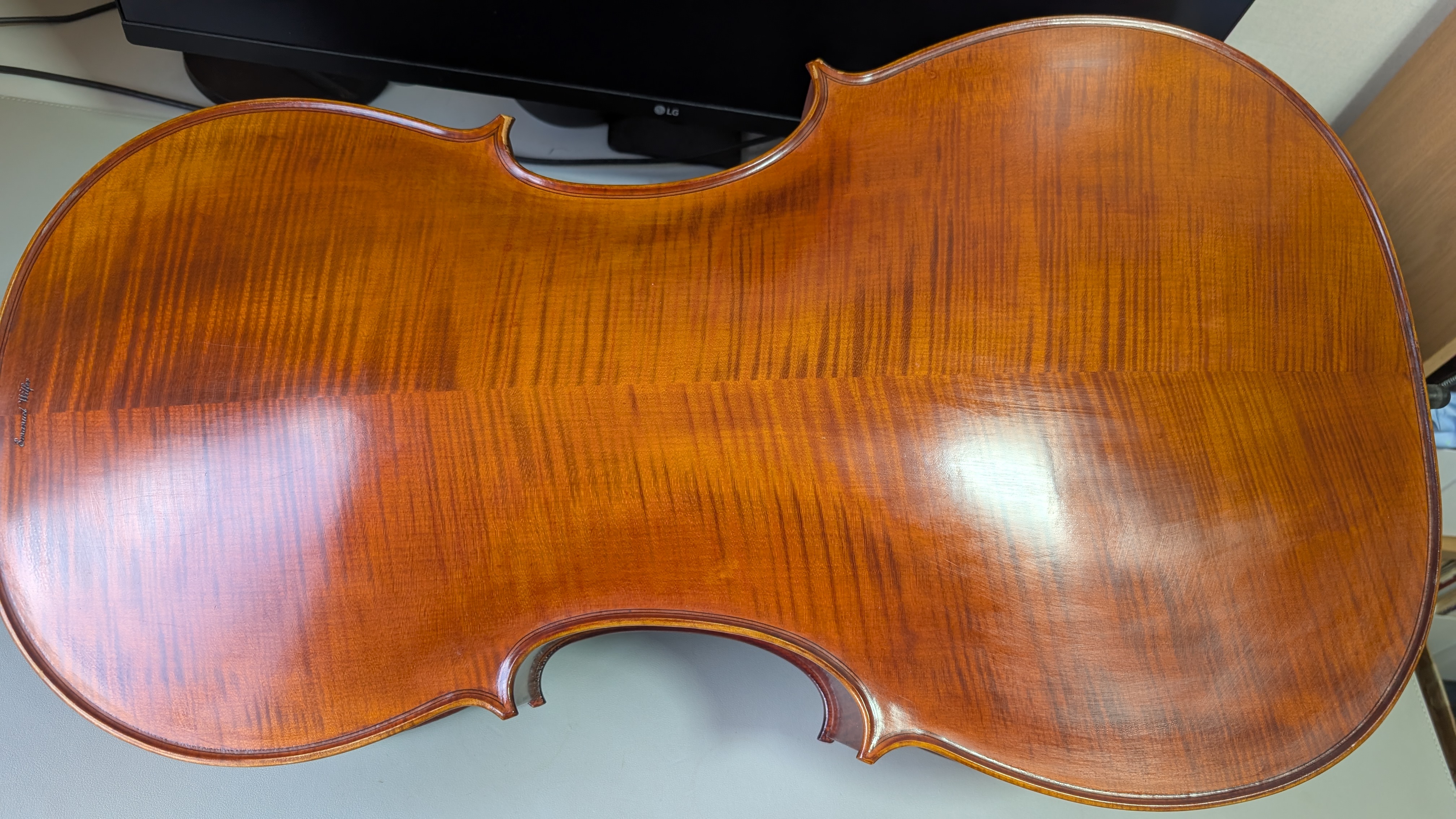 Emanuel Wilfer Gofriller 2018 flamed maple back